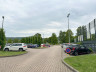 IMG_5582_BEARB