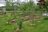 Jardin Communautaire-Mersch_Gaart
