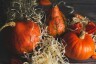 Kürbis_Herbst_Helloween