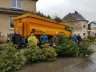 Chrëschtbeemercher asammelen